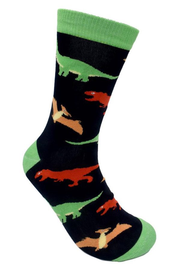 Calze Dinosauri